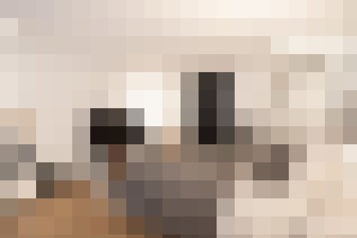  / #23