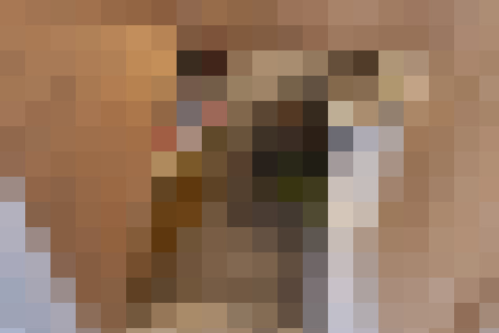  / #19