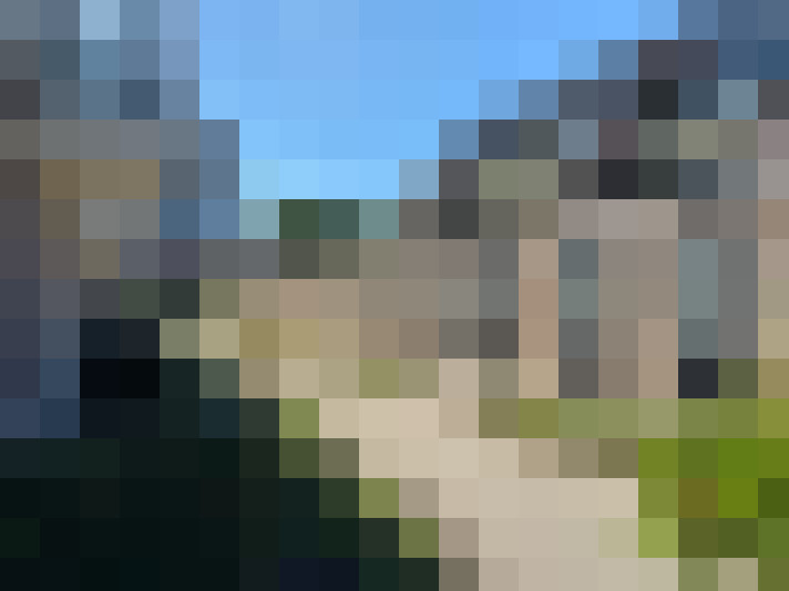  / #8