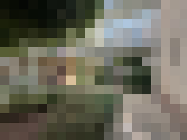  / #14