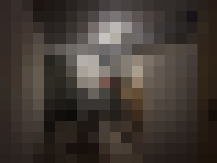  / #15