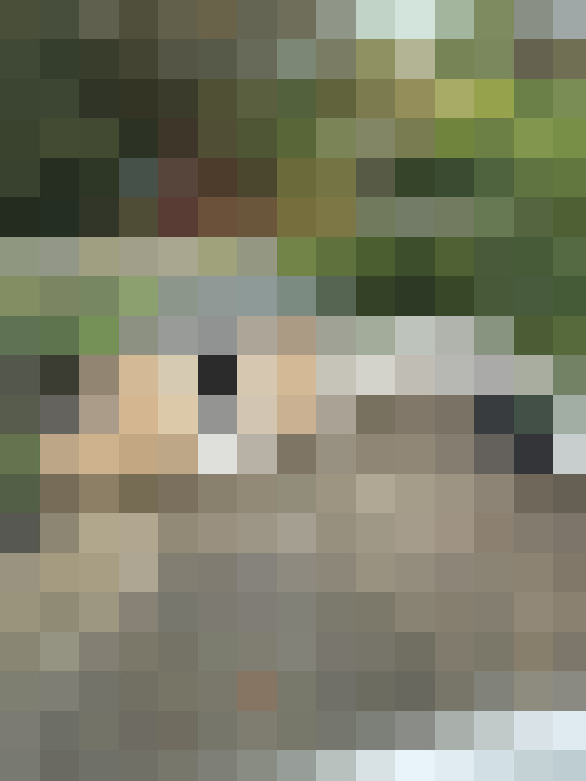  / #17