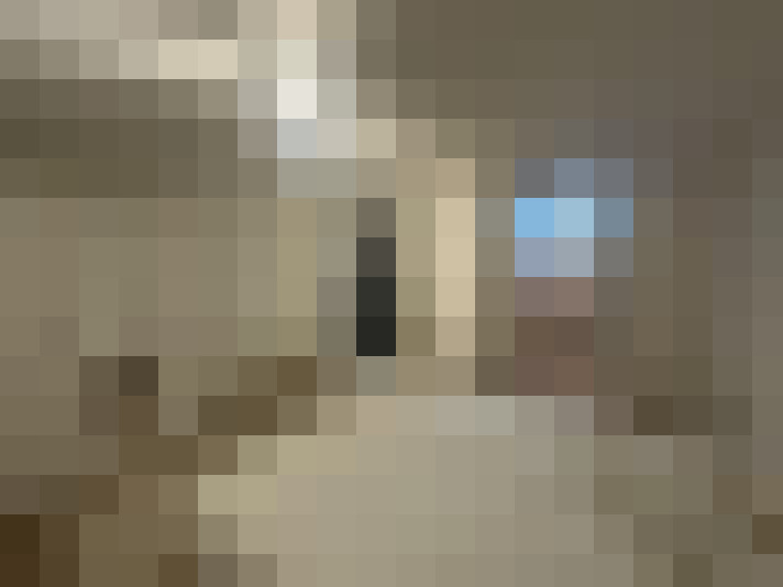  / #19