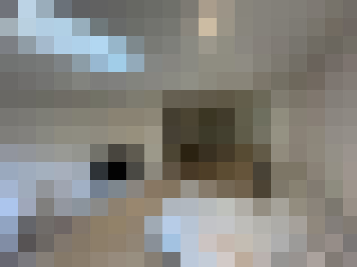  / #17