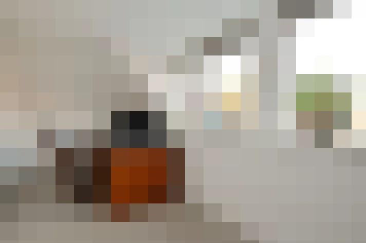  / #17