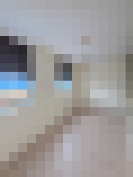  / #15