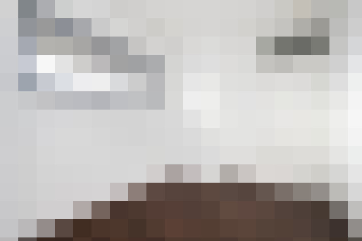  / #20