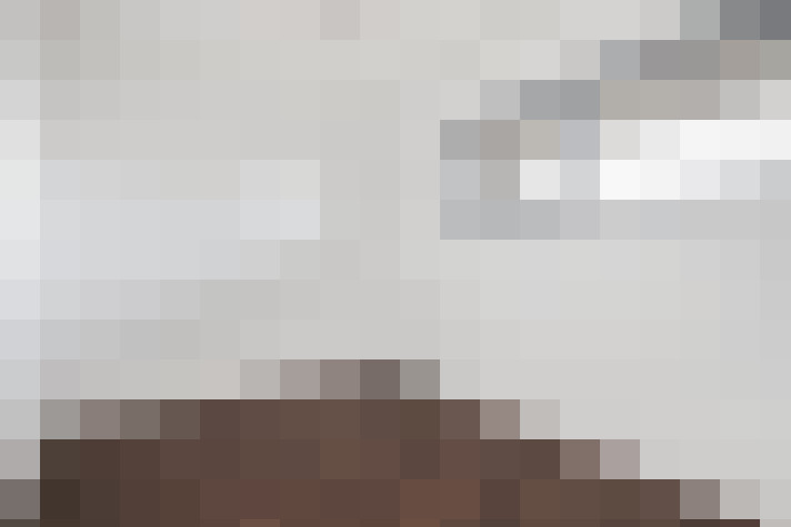  / #19