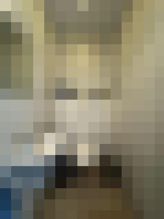  / #15