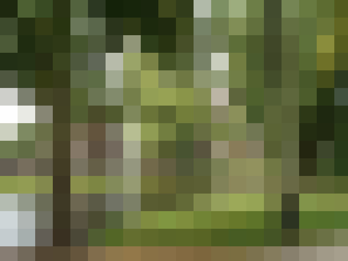 Image 14