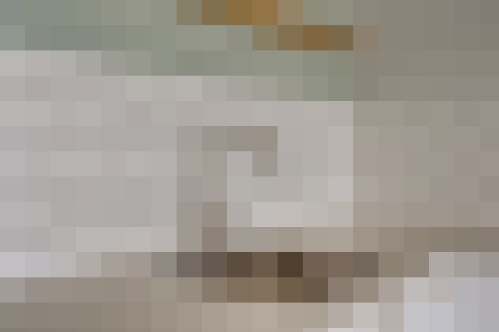  / #11