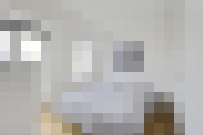  / #16