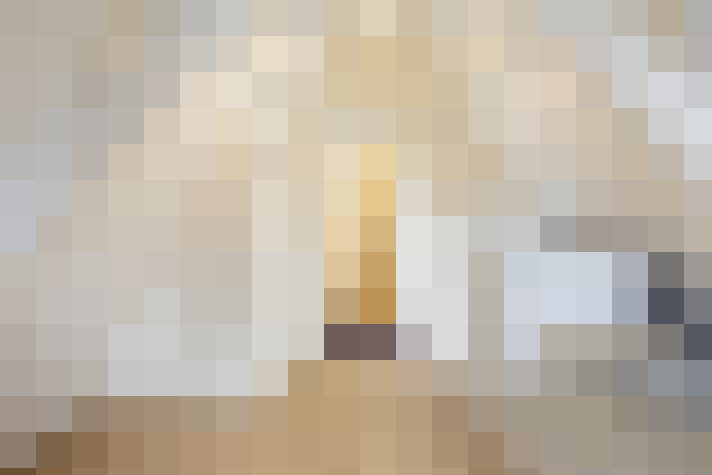  / #17