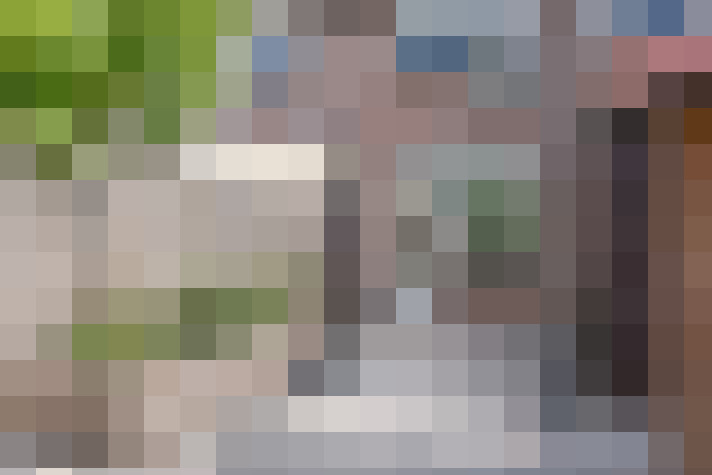  / #17