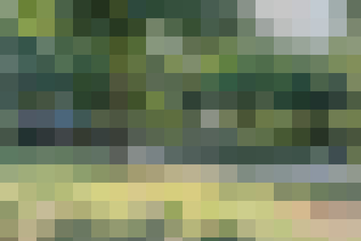  / #20