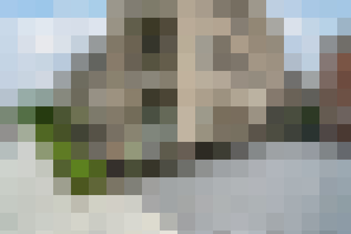  / #15