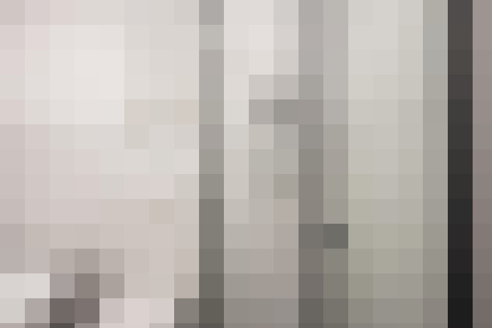  / #19