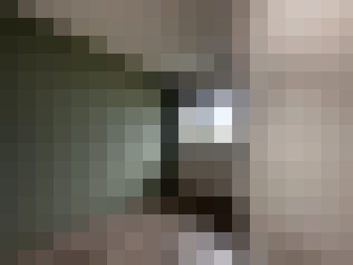  / #8