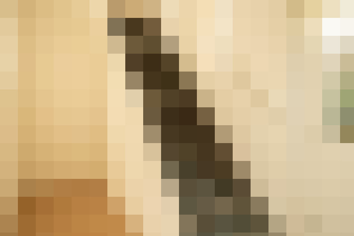  / #14