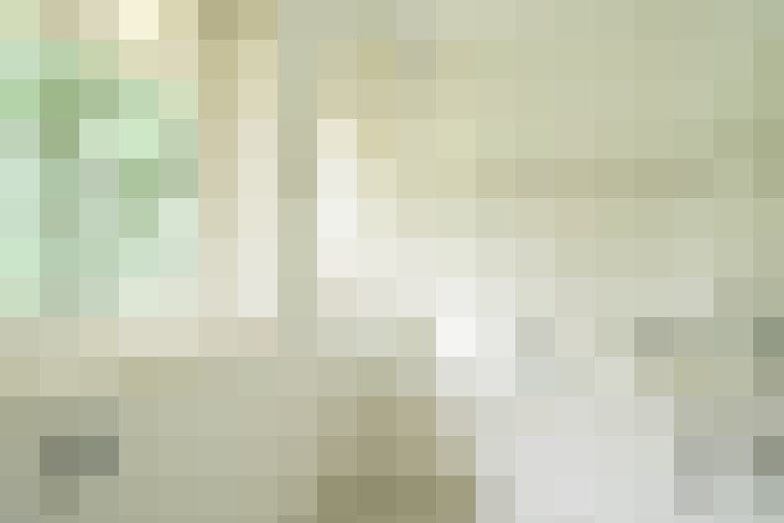  / #24