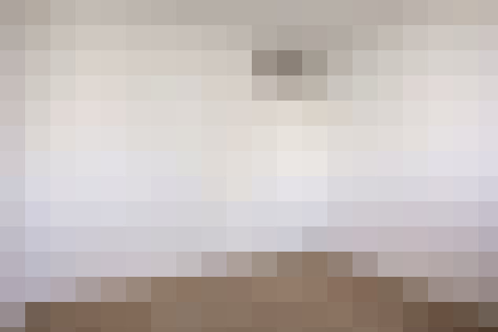  / #19