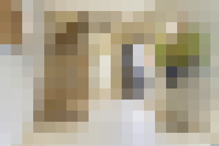  / #15
