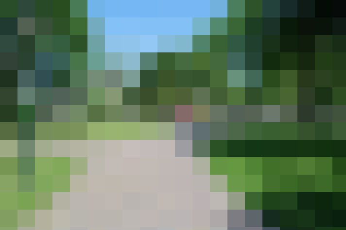  / #11