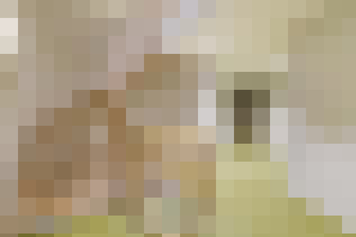  / #18