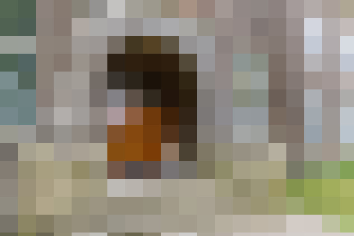  / #20