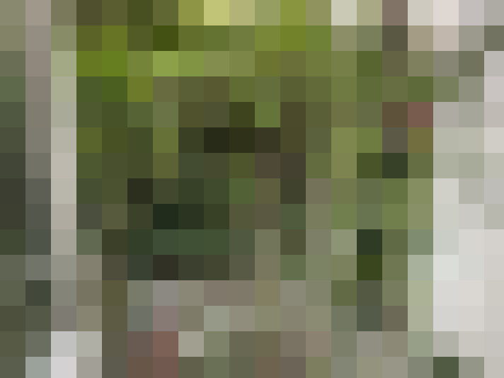  / #13