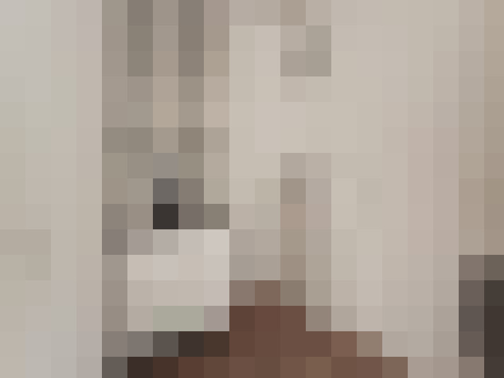  / #11
