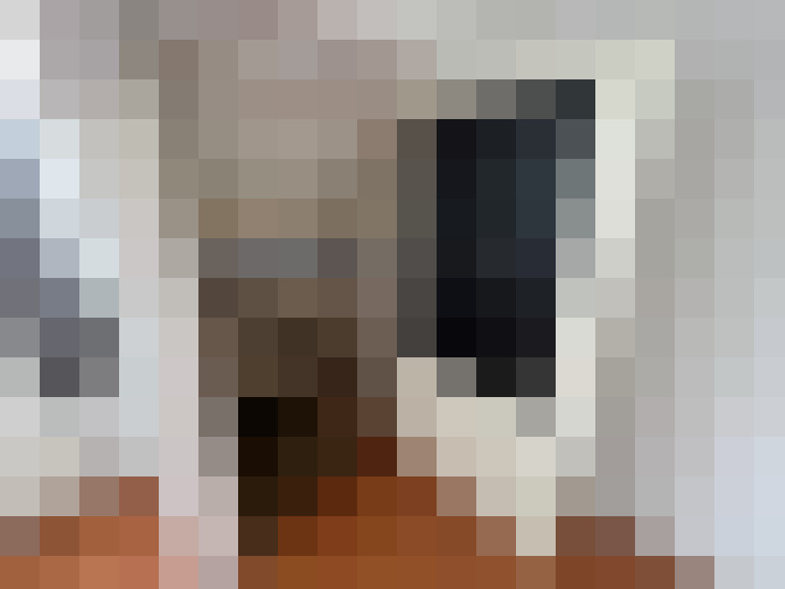  / #6