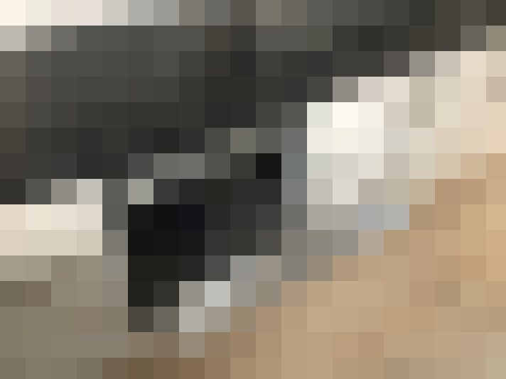  / #14