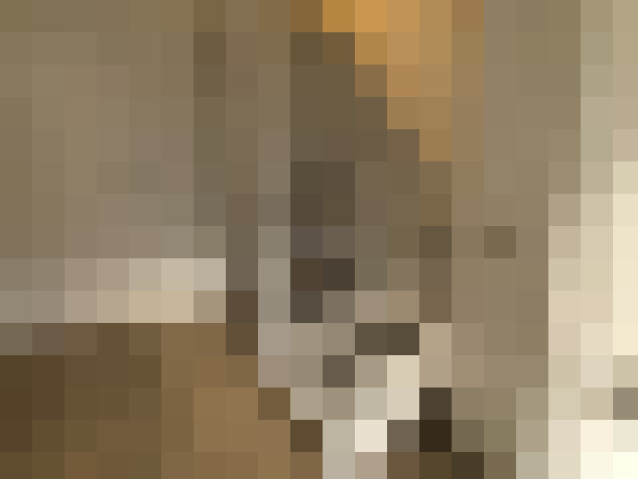  / #17