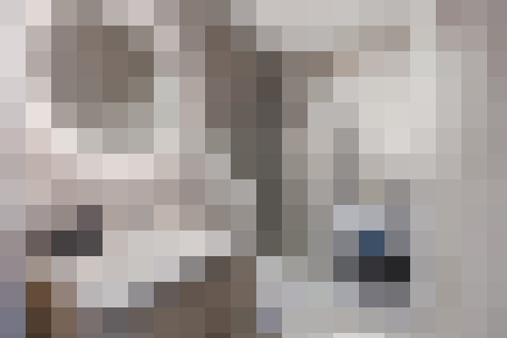  / #14