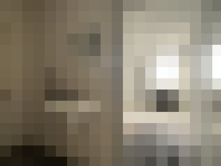  / #21