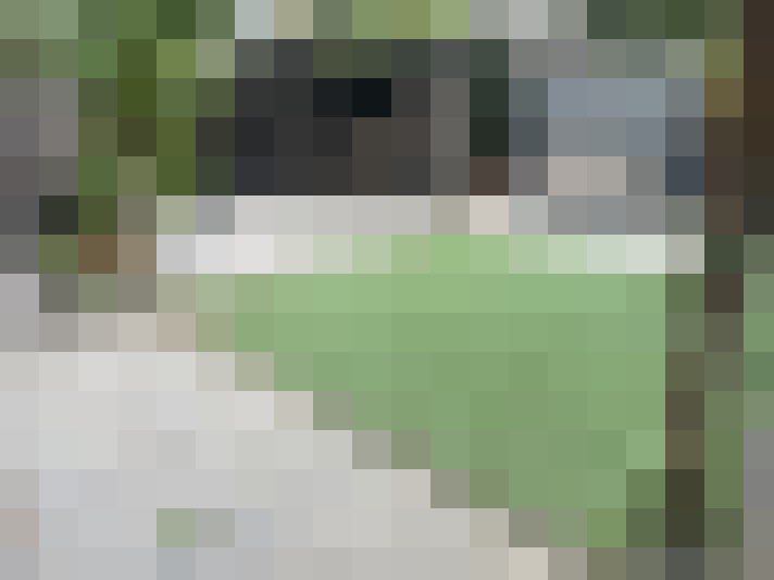  / #19