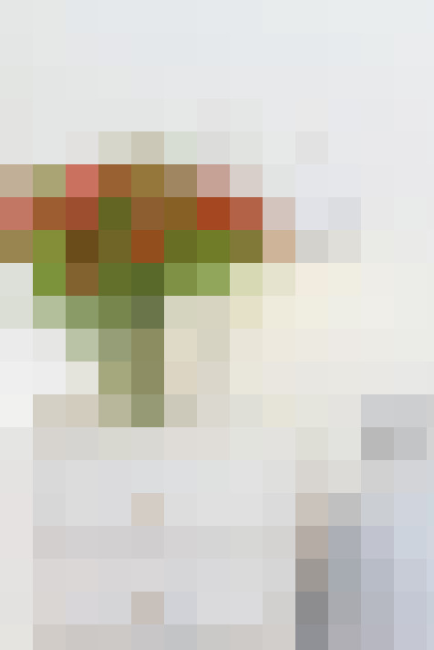  / #12