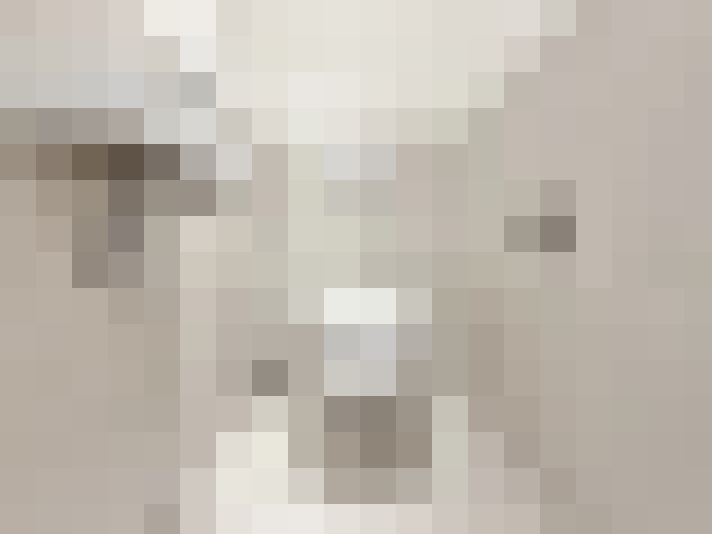  / #15