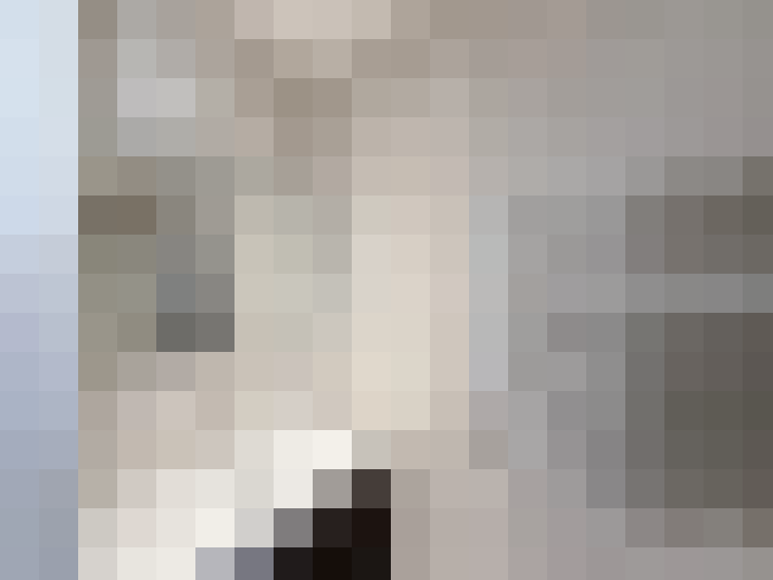  / #13
