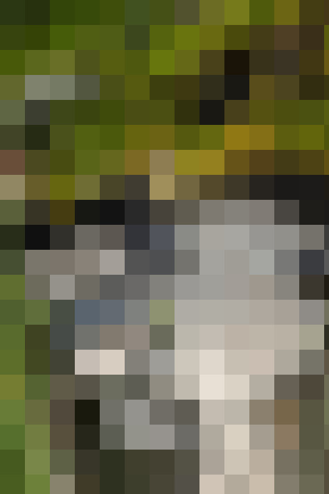  / #7