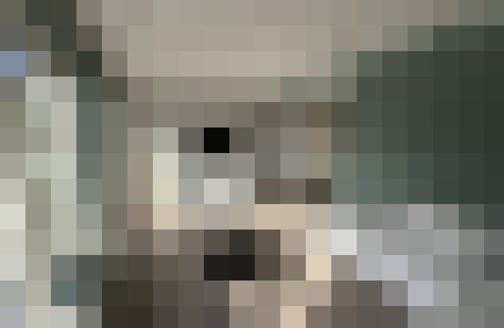  / #12