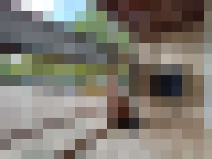  / #16