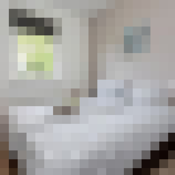  / #7