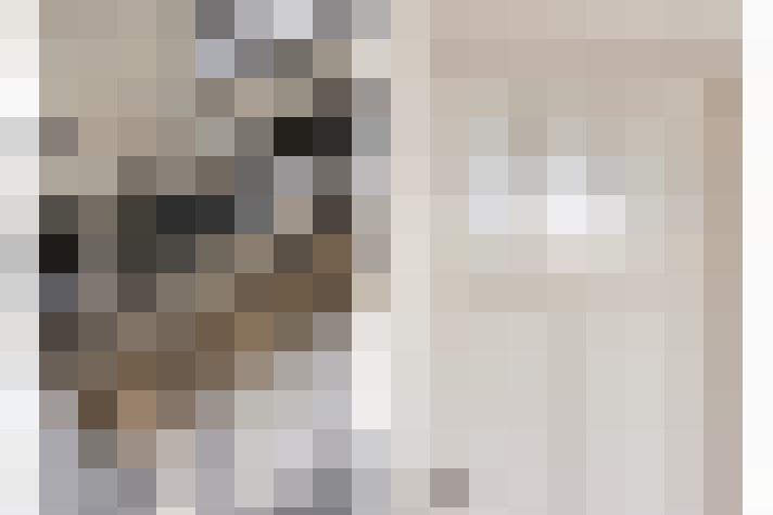  / #20