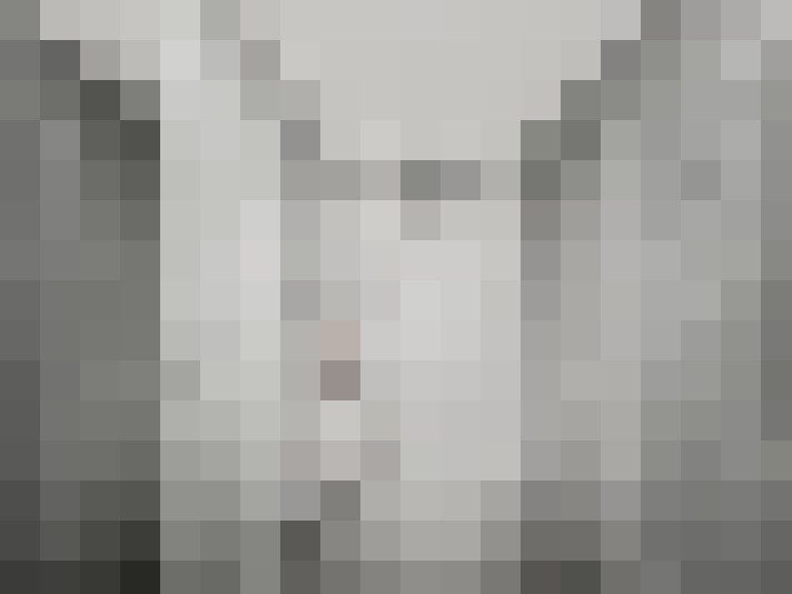  / #14