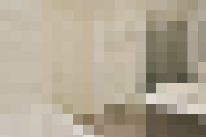  / #21