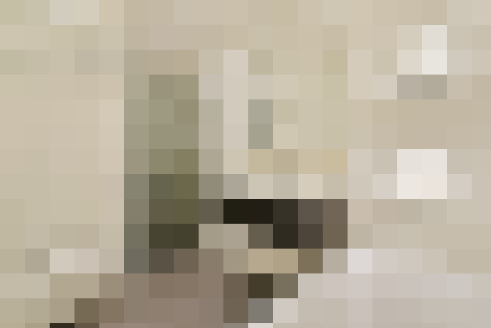  / #20