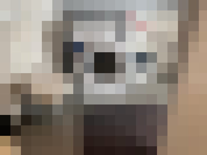  / #14