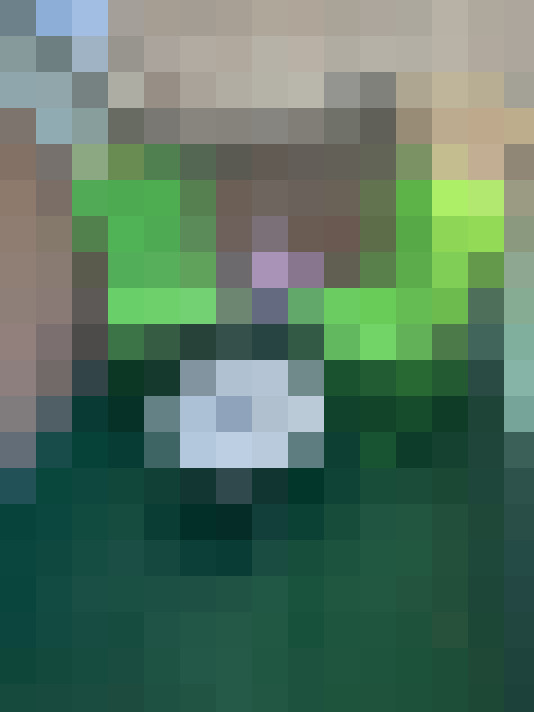  / #17